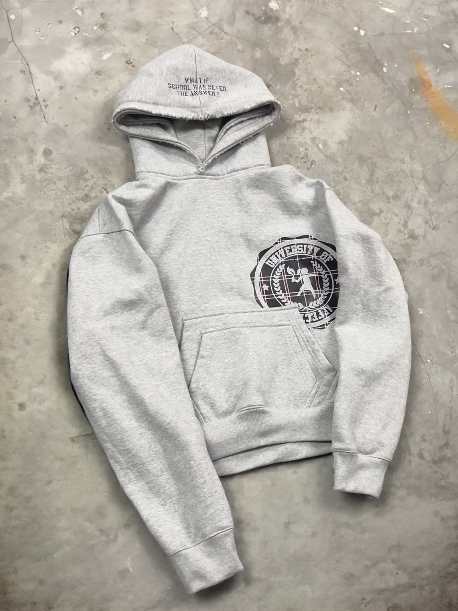 Dusty Affection |  *DROPOUT HOODIE Dusty Affection